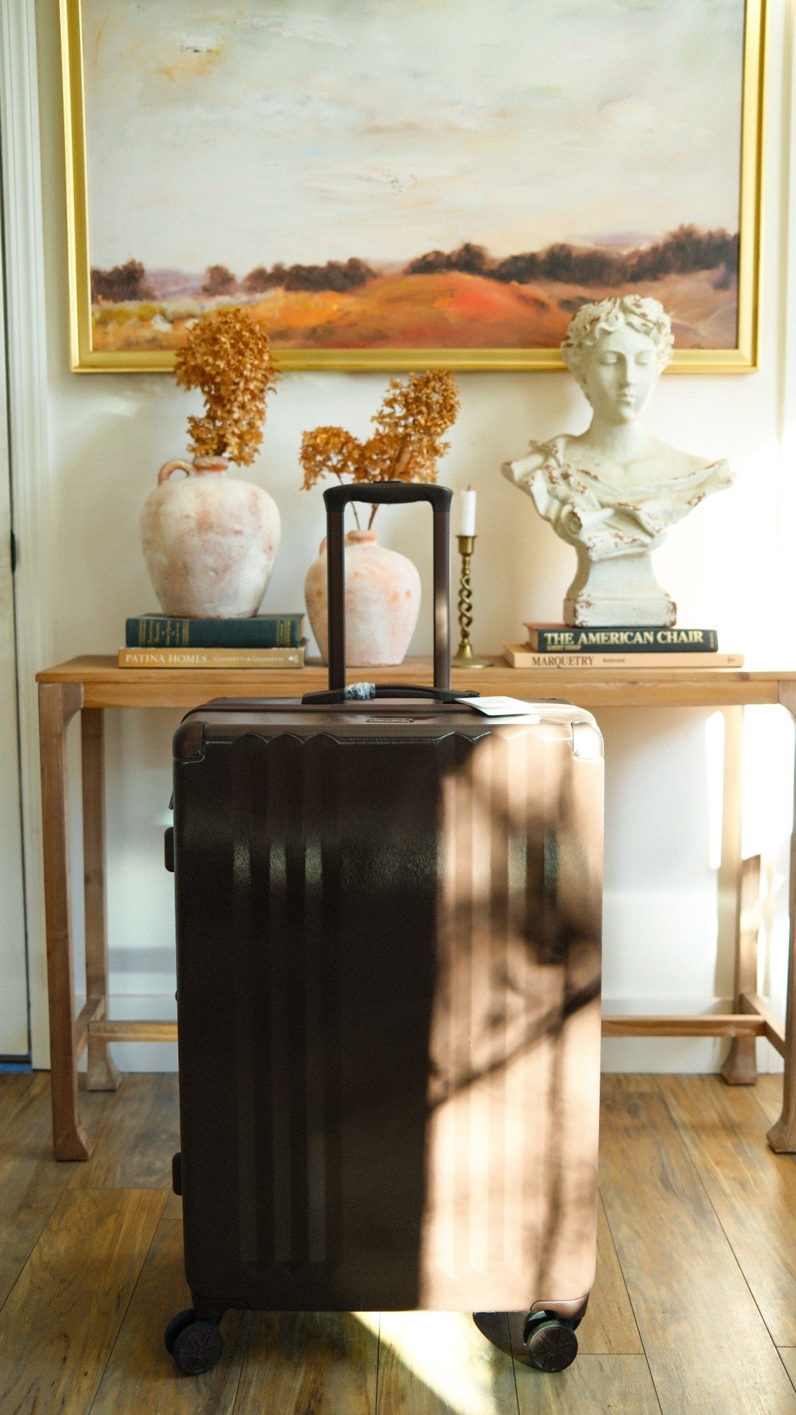 Stunning chocolate luggage

#LTKTravel #LTKHoliday #LTKItBag