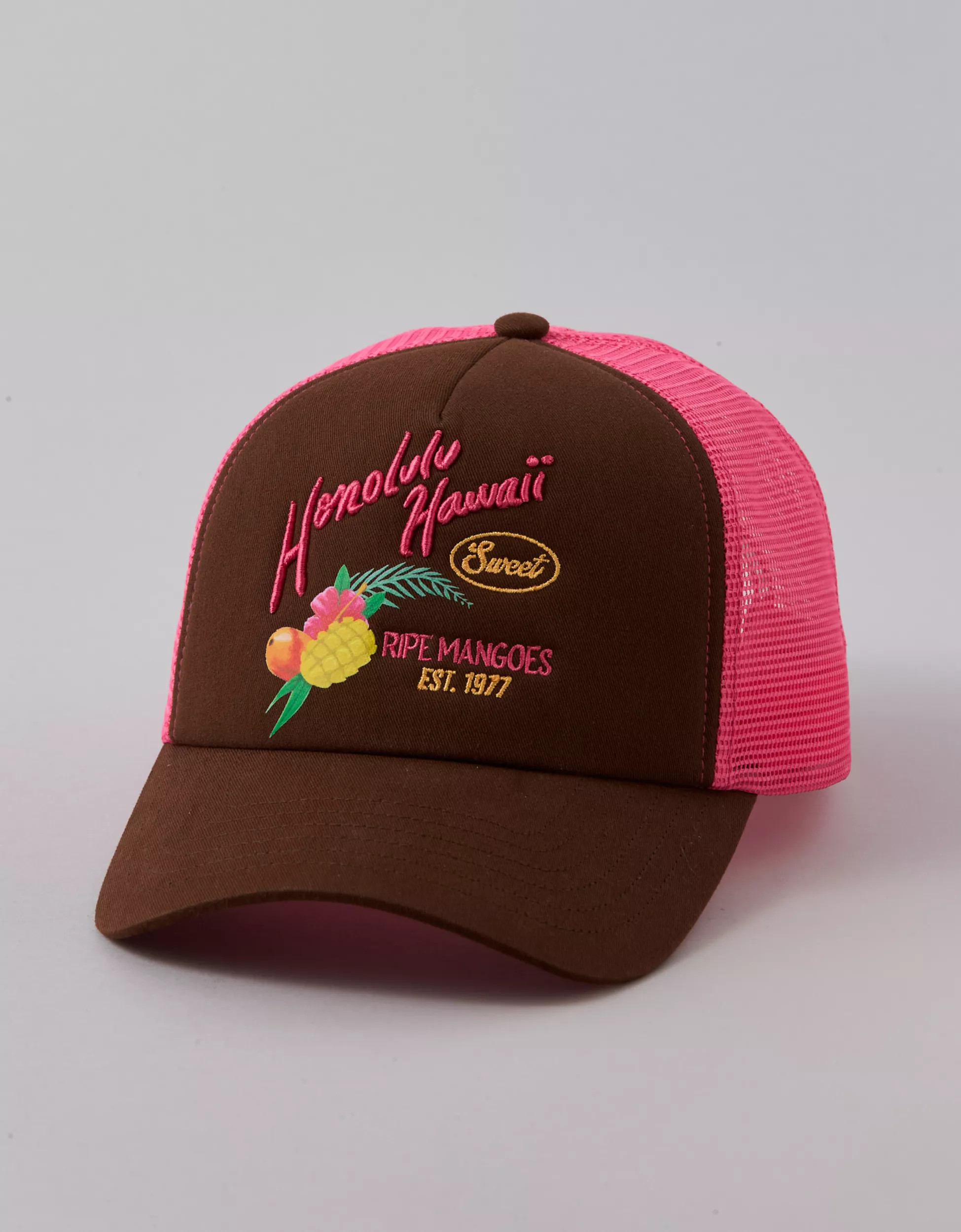 AE Graphic Trucker Hat | American Eagle Outfitters (US & CA)