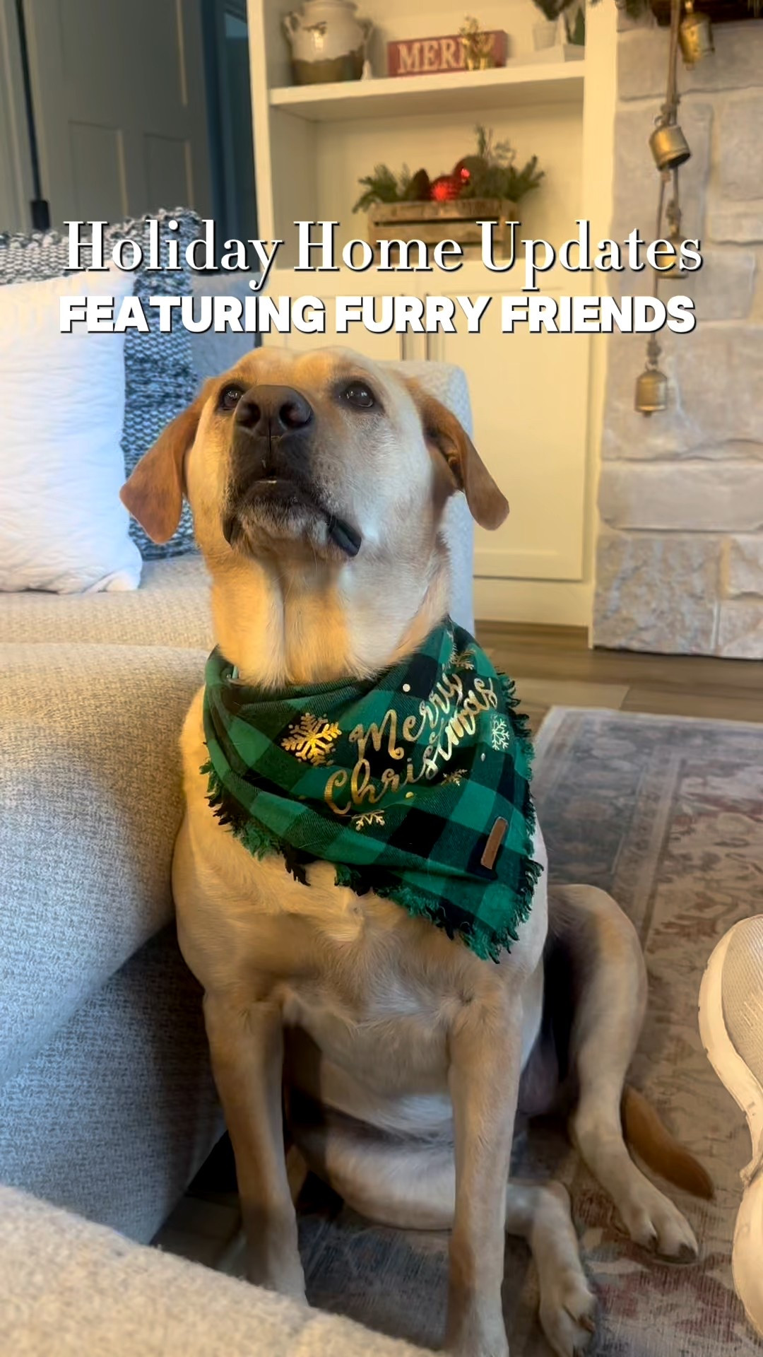 Holiday Home Updates 🎄 featuring furry friends 🐶

#LTKHoliday #LTKSeasonal #LTKHome