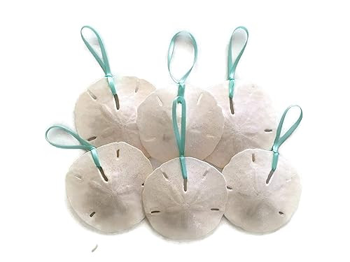 Sand Dollar Christmas Tree Ornaments with Aqua Ribbon, Set of 6 Small Glittered Beach Theme Decor... | Amazon (US)