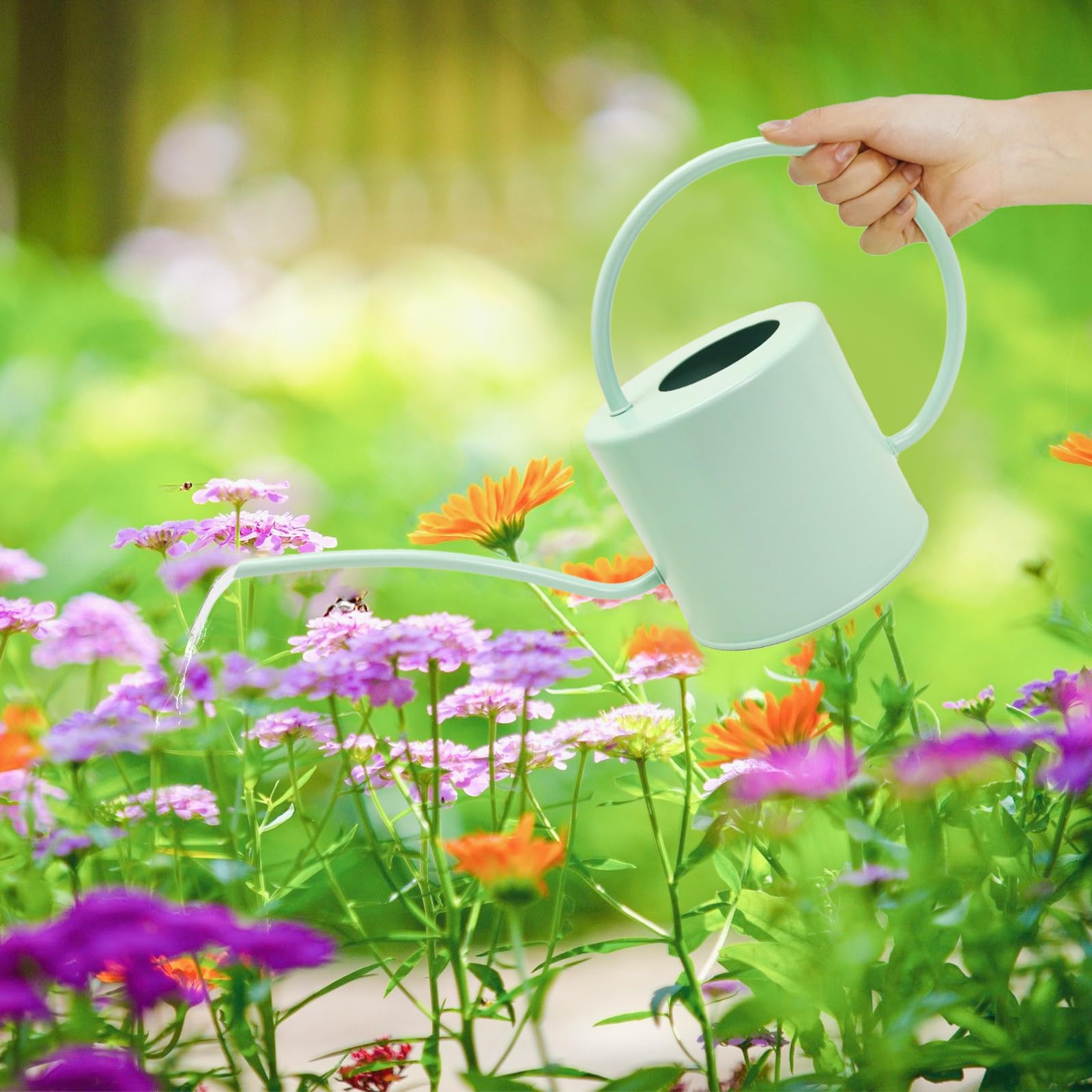 Indoor Watering Can for Houseplants-Long Spout Metal Watering Can for Indoor Plants, Succulents o... | Amazon (US)