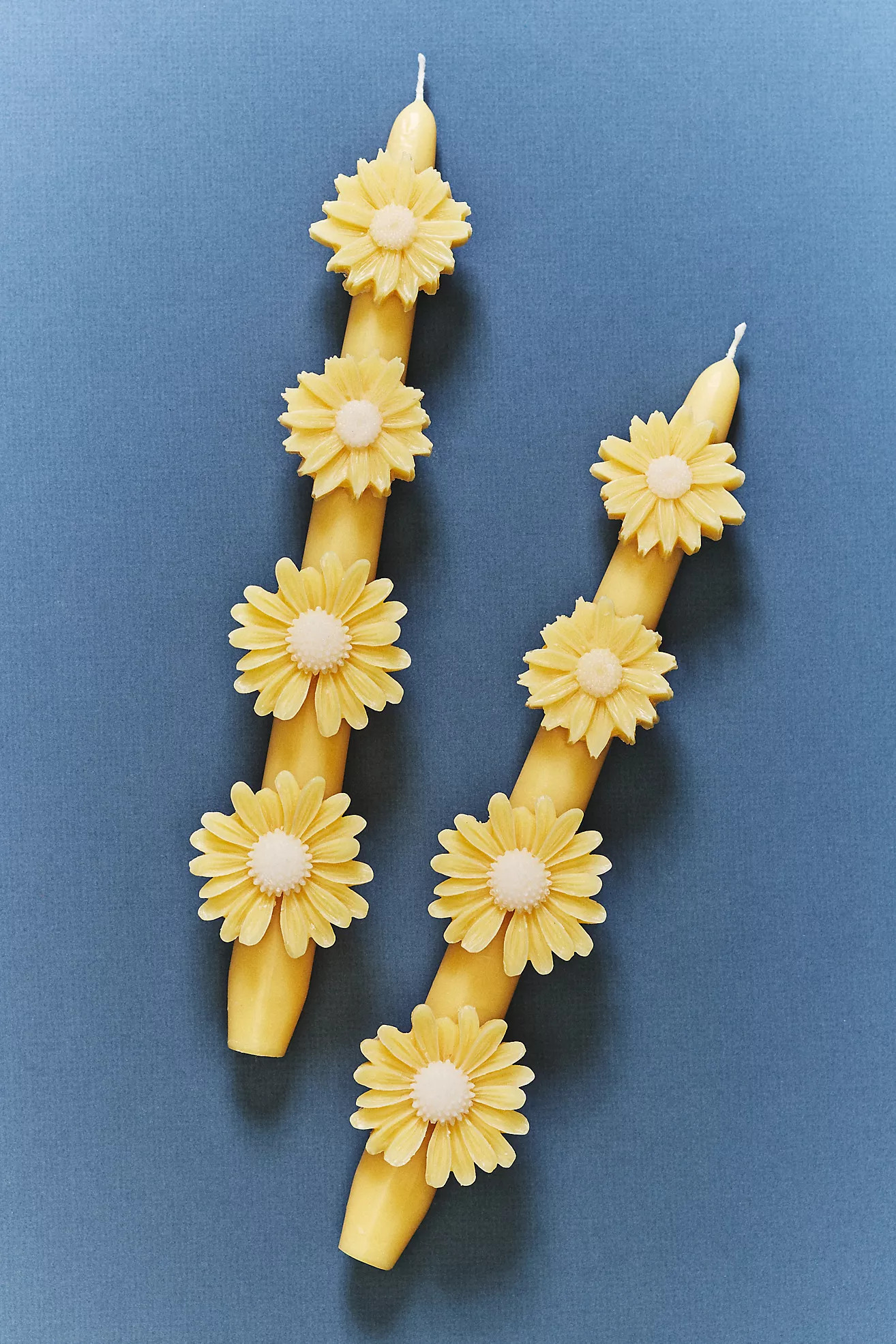Fleur Daisy Taper Candles, Set of 2 | Anthropologie (US)