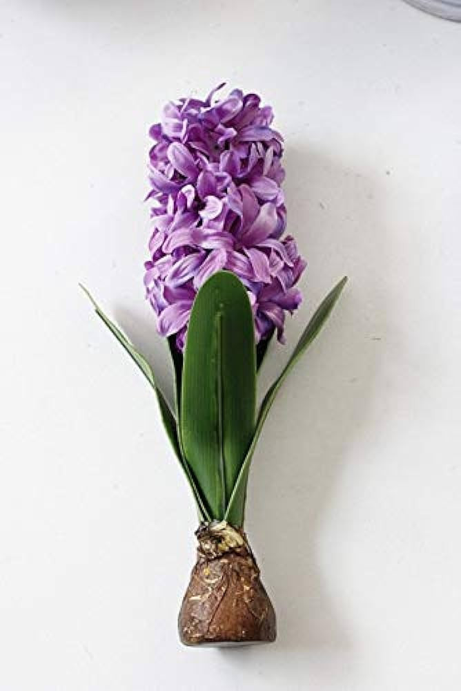 ShineBear Artificial Flower Hyacinth with Bulbs Ceramics Silk Flower Simulation Leaf Wedding Gard... | Amazon (US)