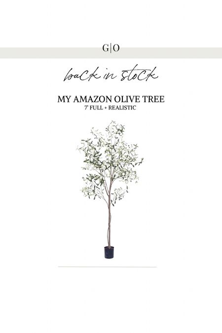 my FAVORITE affordable realistic amazon olive tree is back in stock & on deal! $103 7’ and HUGE! so full & shapeable. great crate & barrel look for less 

#LTKhome #LTKsalealert #LTKunder100