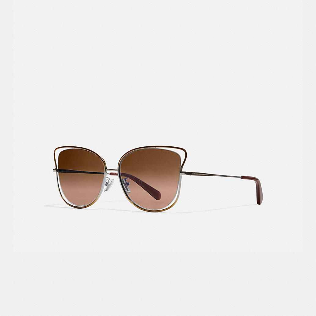 Wire Frame Butterfly Sunglasses | Coach (US)