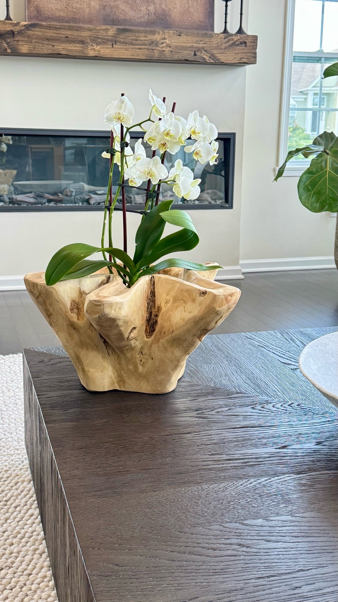 Teak vase | teak home accents | unique pieces

#LTKHome