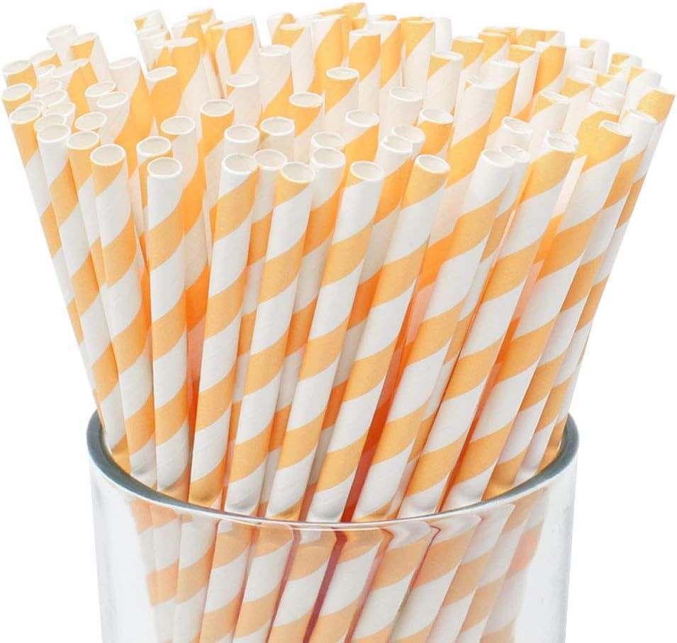 Just Artifacts Premium Biodegradable Disposable Drinking Paper Straws (100pcs, Apricot) | Amazon (US)