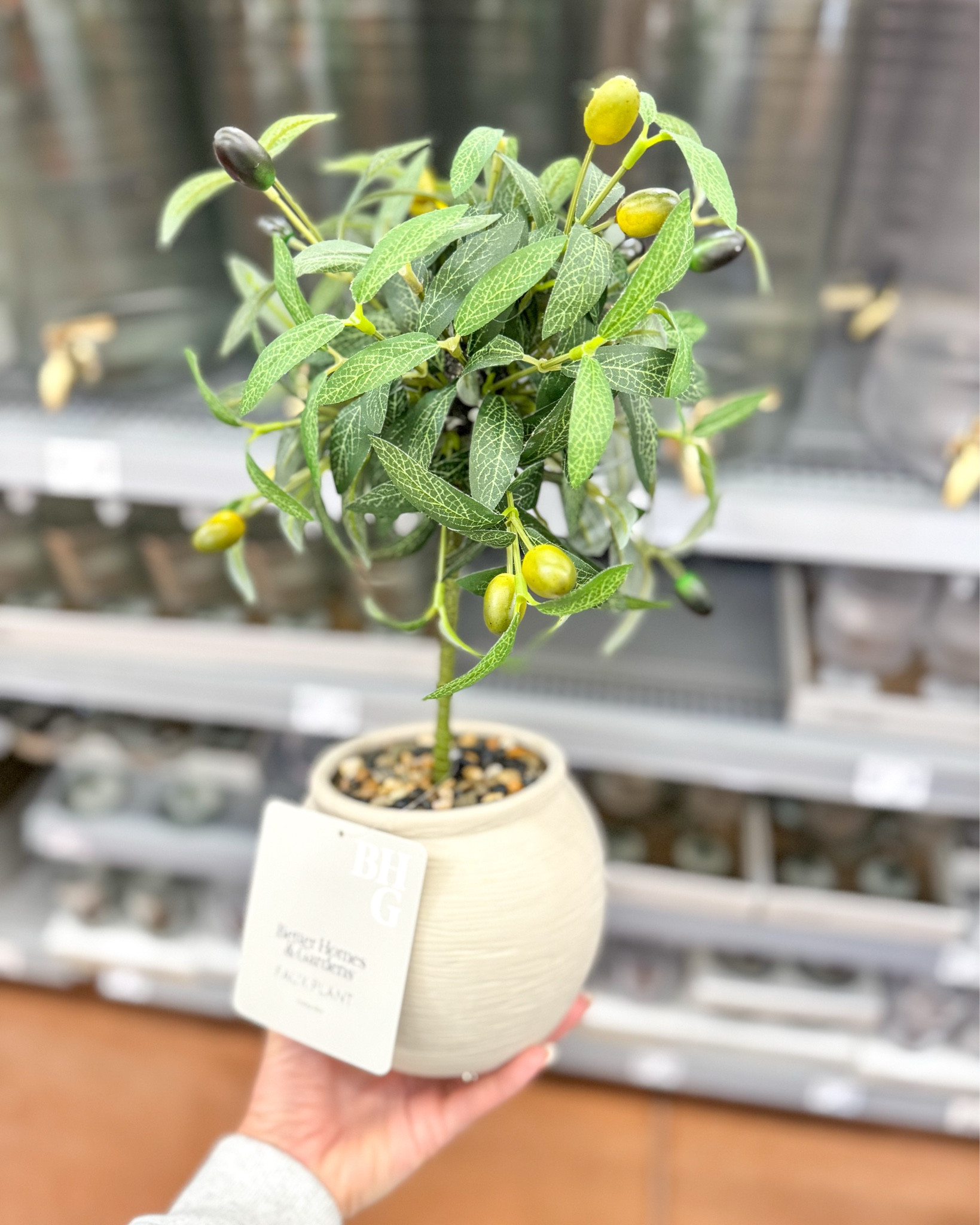 Spring refresh doesn’t have to be expensive! Everything is under $25! 

#LTKHome #LTKSeasonal