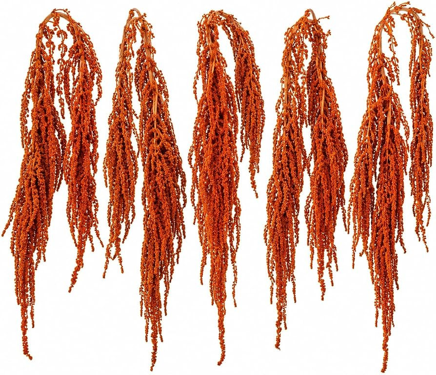 5 Pack Orange Preserved Amaranthus Dried Hanging Flowers for Wedding Vase Decor (Orange) | Amazon (US)
