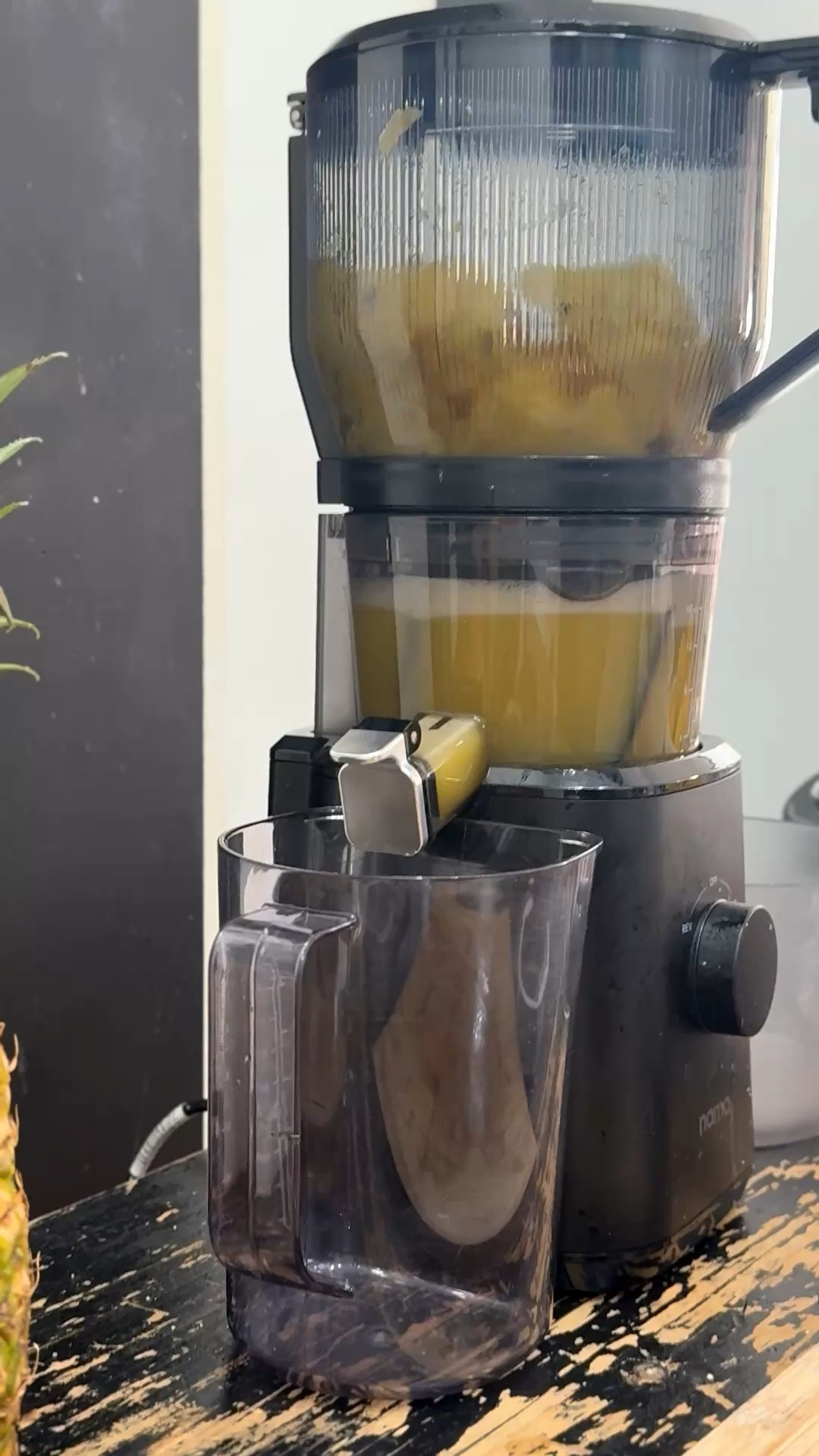 Invest in the juicer that will change your life FOREVER. Better habits, daily nutrients, more energy, glowing skin, and finally feeling GOOD from the inside out. One decision can literally shift your entire lifestyle.

Shop the juicer I use every single day on my LTK.

#ShoppingWithPriiincesss #ColdPressedJuicer #JuicingLife #HealthyLifestyle #WellnessJourney #JuicerLife #GlowUpJourney #HealthAndWellness #DailyHabits #HealthyLiving #SelfCareRoutine #JuiceDaily #LifestyleUpgrade #AtlantaMom #Atlantamom #Atlantabloggers #Atlantablogger #AtlantaCreator #Atlantacontentcreators #Atlantacontentcreator

#LTKfoodie #LTKActive #LTKHome