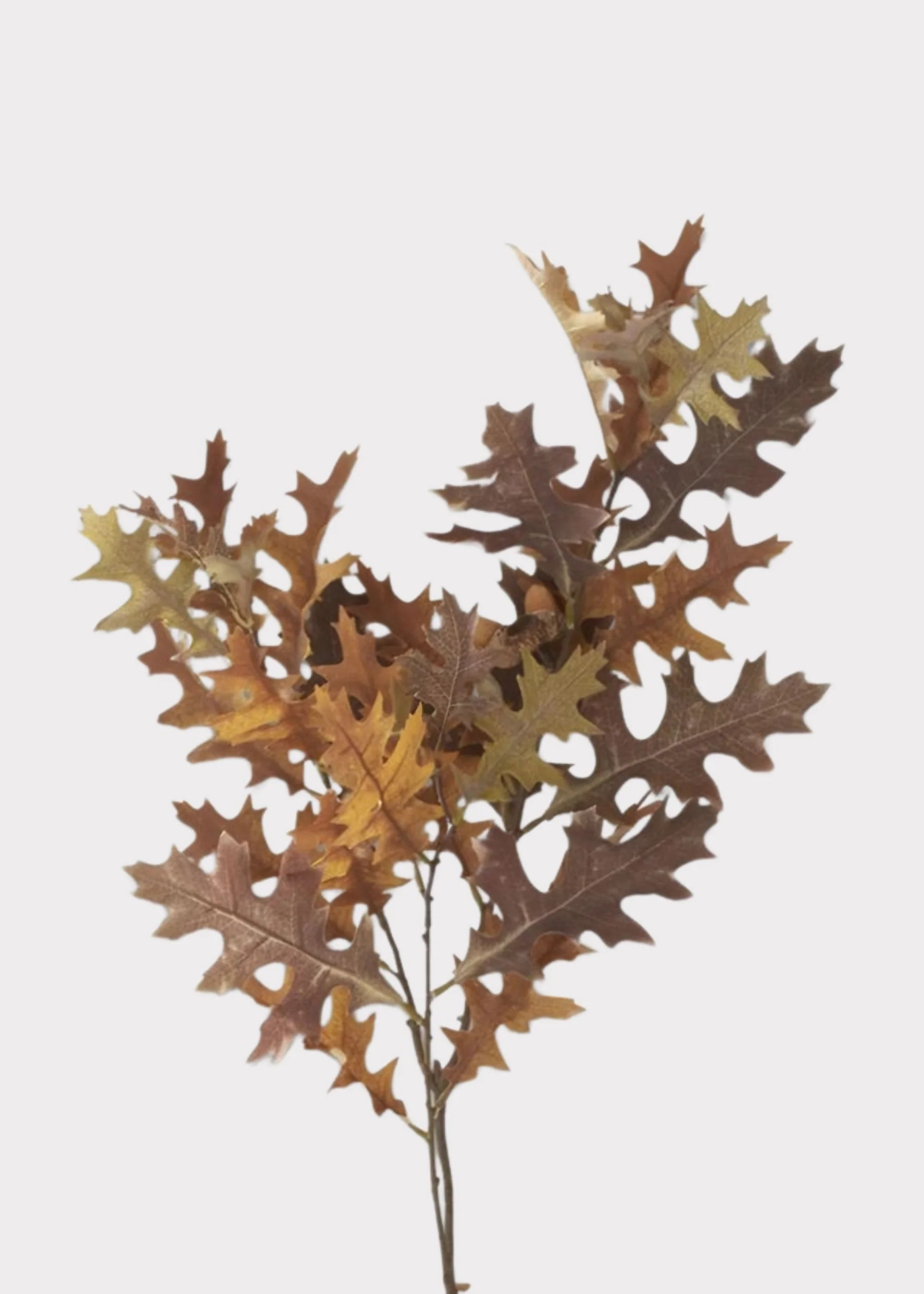 Artificial Autumn Oak Leaf Branch in Fall Hues - 37" | Afloral