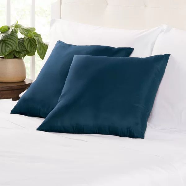 Wayfair Basics® Square Throw Pillow (Set of 2) | Wayfair North America