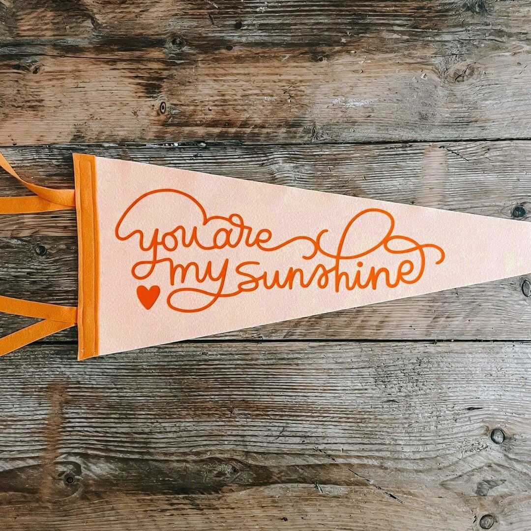 YOU are my SUNSHINE Pennant Flag / felt pennant / wall hanging banner / gallery wall decor / moti... | Etsy (US)