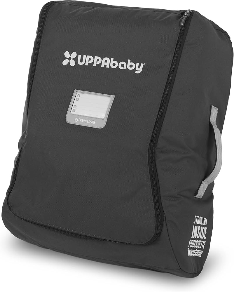 Travel Bag for MINU and MINU V2 | Amazon (US)