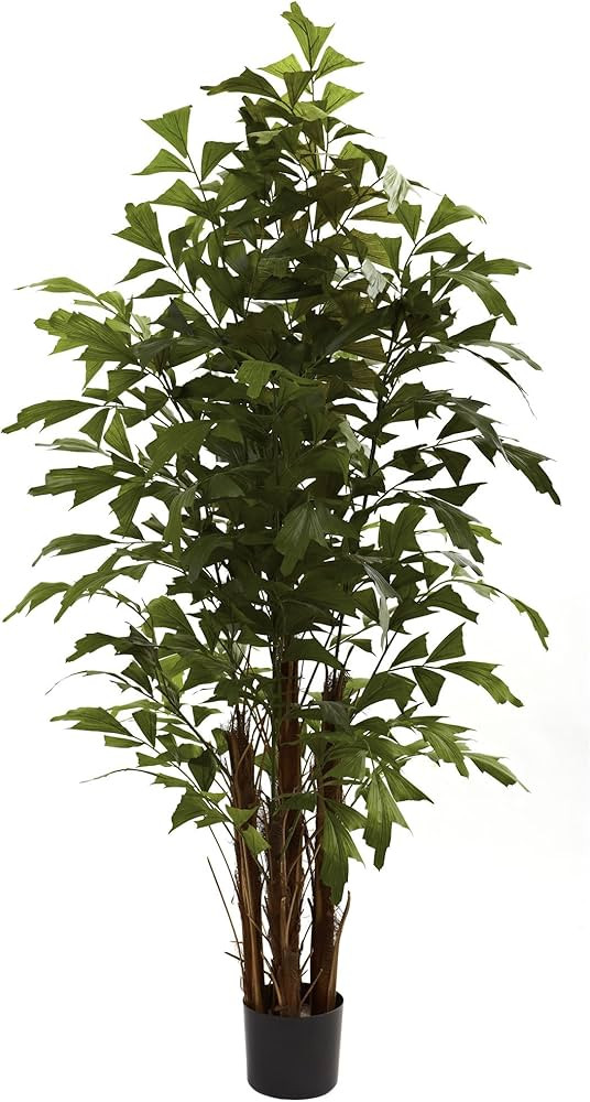 Nearly Natural 5363 Fishtail Palm Tree, 6-Feet, Green | Amazon (US)