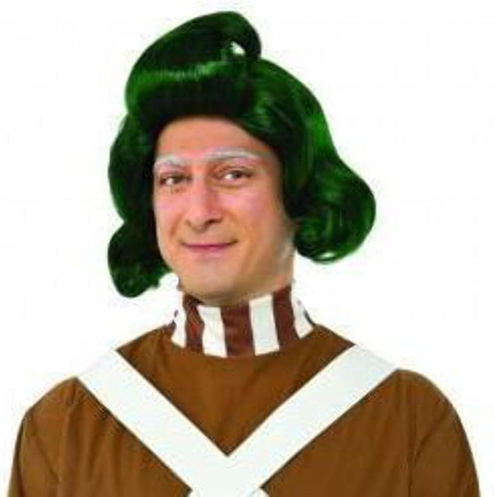 Rubies Willy Wonka and the Chocolate Factory: Oompa Loompa Wig for Adults, Men's No Size | Amazon (US)