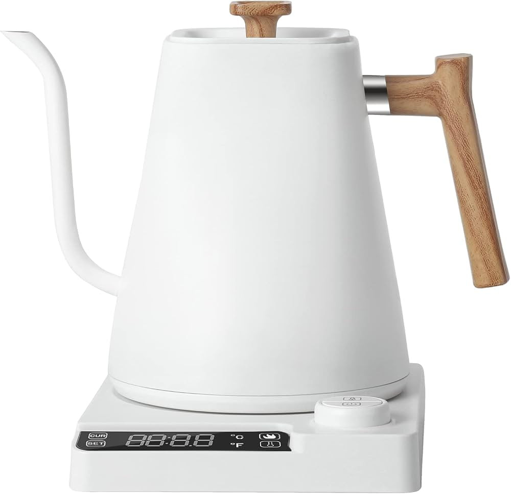 ARKANTOS 1L Gooseneck Electric Kettle with Auto Shut-off, Temperature control Stainless Steel Ket... | Amazon (US)