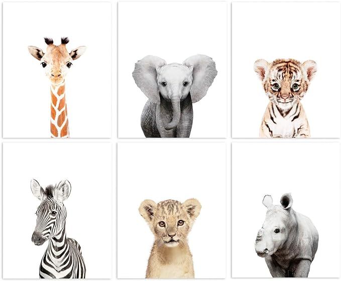 L'AMOUR fou Set of 6 Baby Animal Nursery Prints 8"x10" (UNFRAMED) (6 Safari Prints) | Amazon (US)