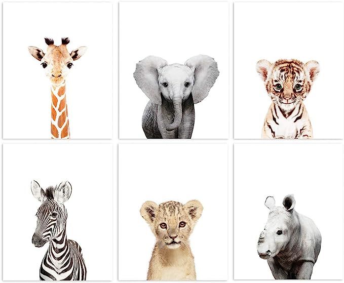 L'AMOUR fou Set of 6 Baby Animal Nursery Prints 8"x10" (UNFRAMED) (6 Safari Prints) | Amazon (US)