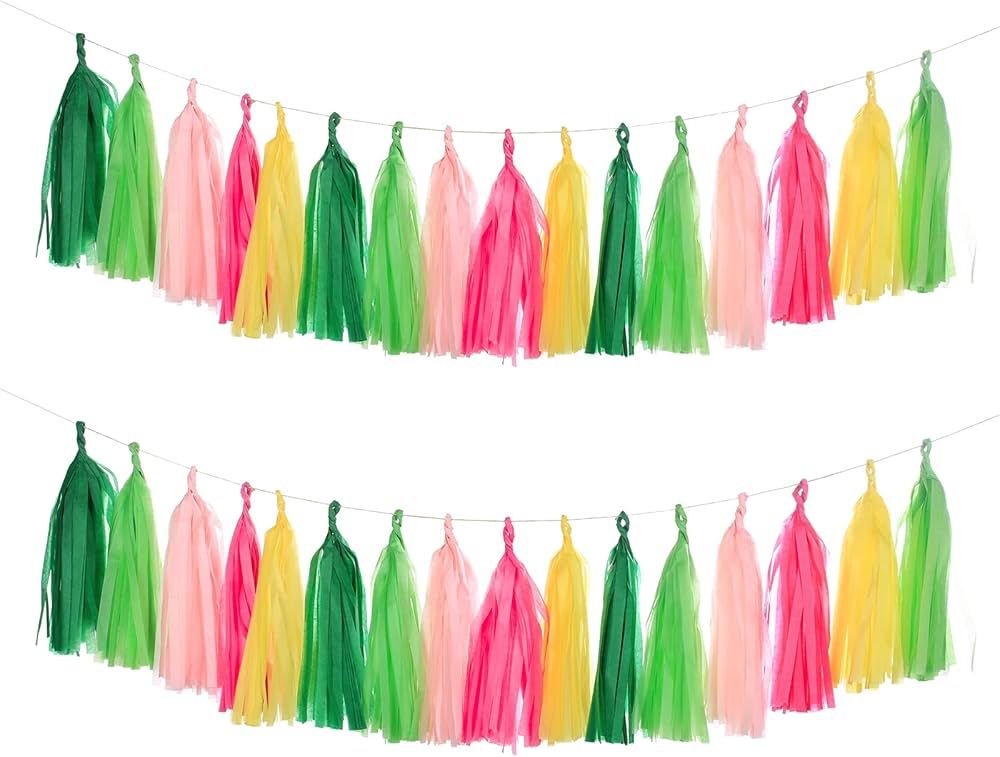 Mefuny 25 PCS DIY Tissue Tassels for Trial Baby Shower First Birthday Bridal Shower Summer Decora... | Amazon (US)