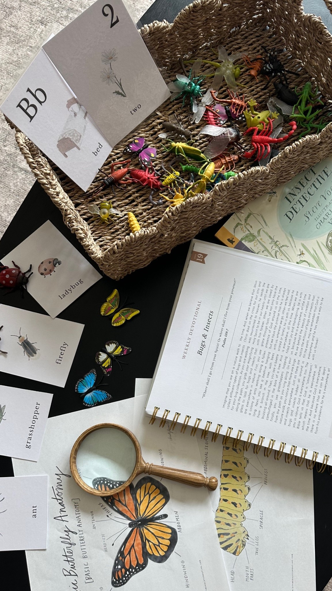 B is for BUGS! Preschool week 2🐞🐛🐜🪲🪳