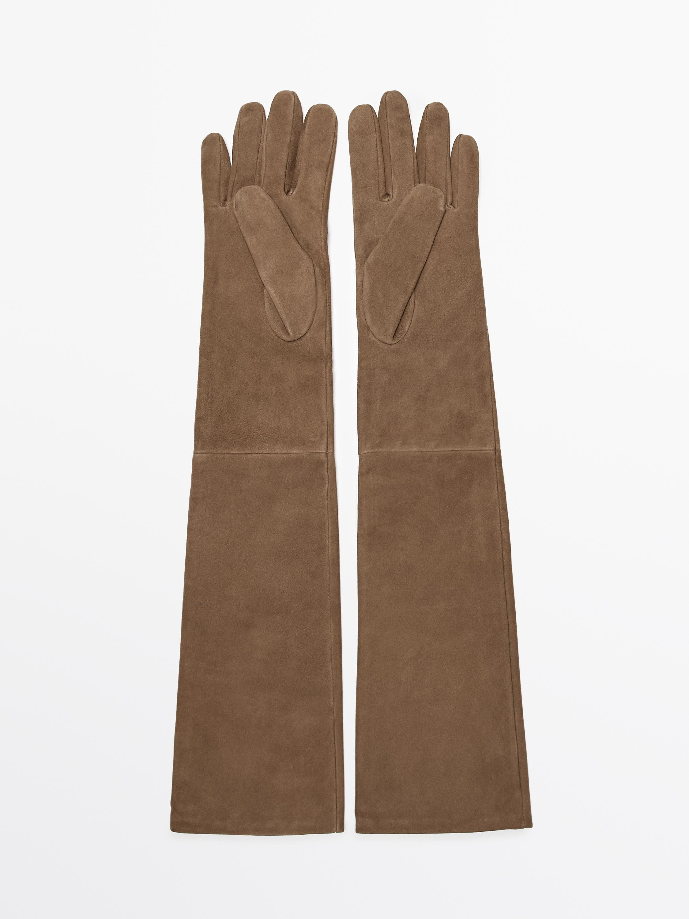 Long suede leather gloves | Massimo Dutti UK
