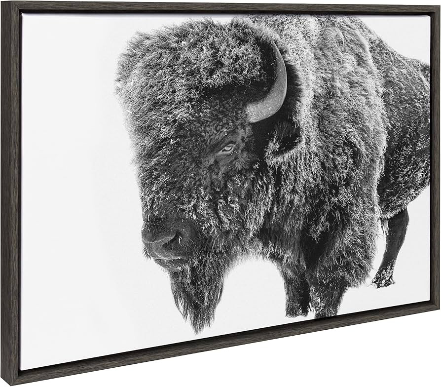 Kate and Laurel Sylvie Bison in Snow Black and White Framed Canvas Wall Art by Amy Peterson Art S... | Amazon (US)
