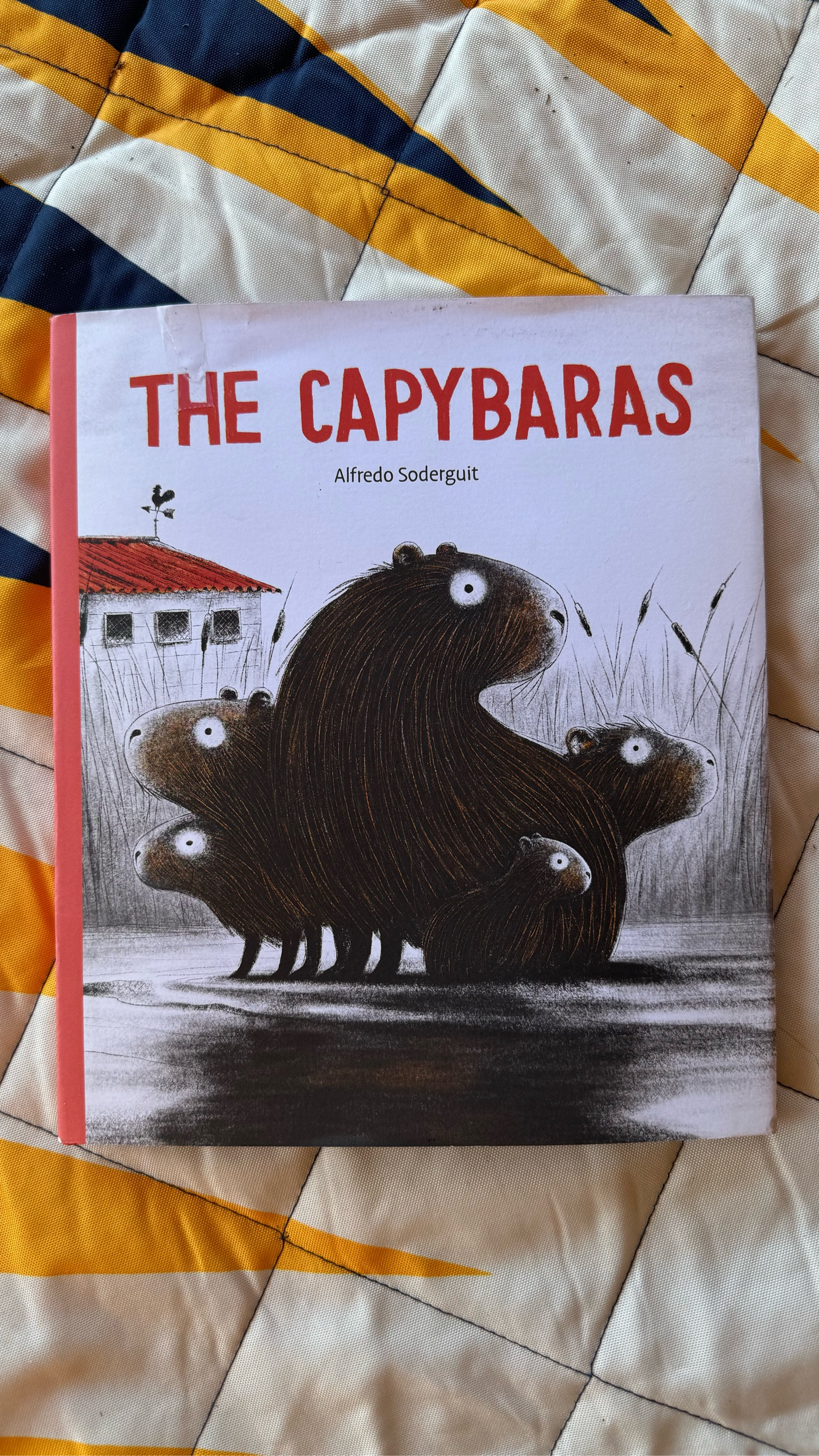 We love finding unique books from other countries to add to our homeschool library.

#LTKFamily #LTKKids #LTKHome