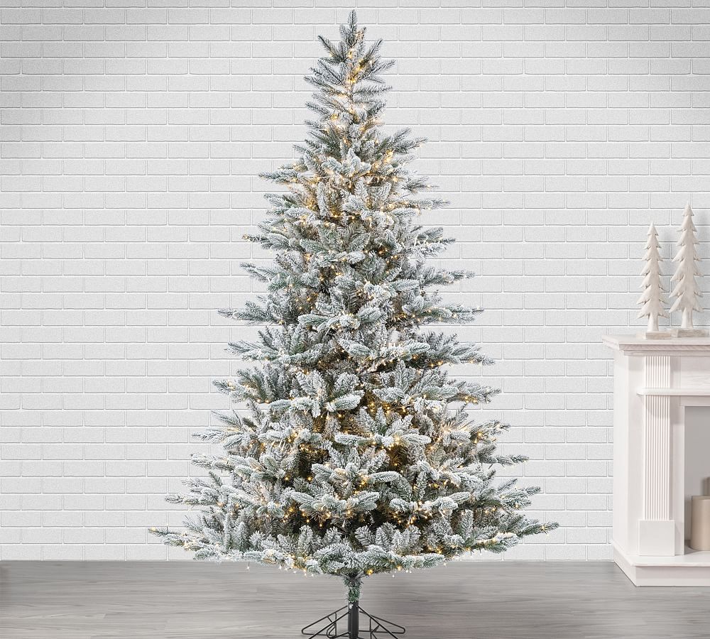 Lit Flocked Redwood Pine Faux Christmas Tree - 7.5 Ft. | Pottery Barn (US)