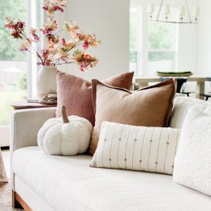 Cozy Fleece Pillow | Pottery Barn (US)
