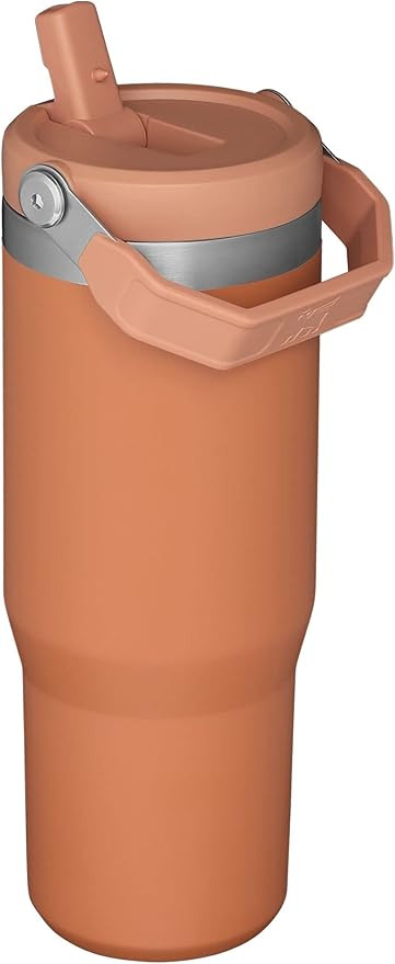 Stanley IceFlow Stainless Steel Tumbler with Straw, Vacuum Insulated Water Bottle for Home, Offic... | Amazon (US)