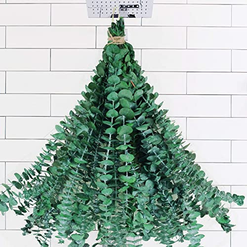 20 PCS Dried Preserved Eucalyptus for Shower, 17" Real Natural Fresh Hanging Eucalyptus Stems,Real Eucalyptus Leaves Branches for Vase Filler,Bathroom,Wedding,Dried Flowers Arrangement Decor | Amazon (US)