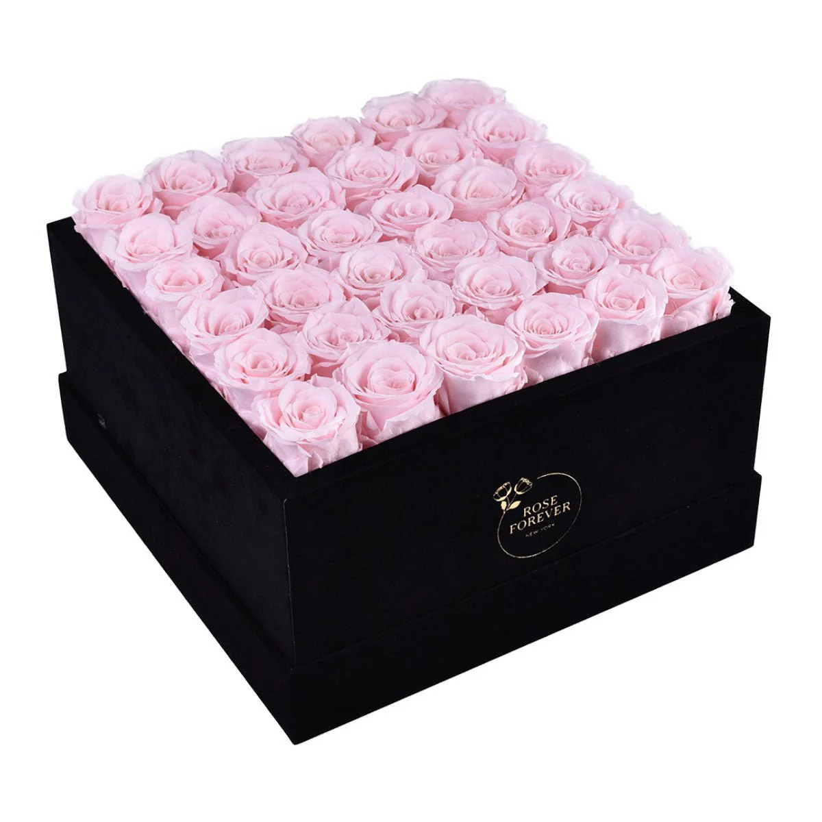 36 Light Pink Roses - Black Square Velvet Box | Rose Forever 