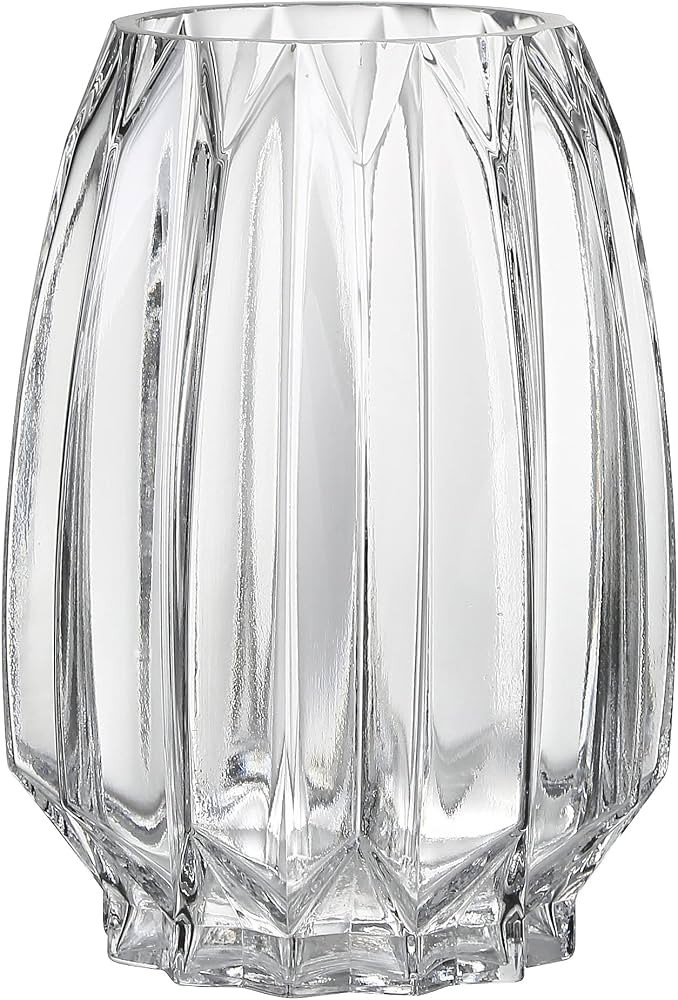 Lucky Bird Crystal Clear Glass Vase - Modern Ribbed Design for Flowers, Candles, and Decorative A... | Amazon (US)