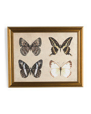 20x25 Butterflies Wall Art | Marshalls