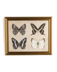 20x25 Butterflies Wall Art | Marshalls