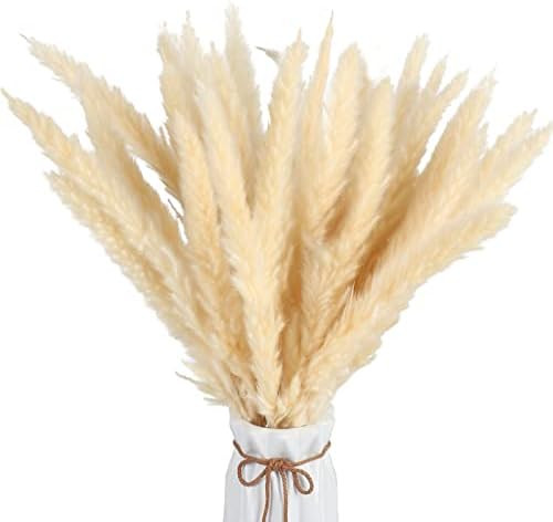 XYXCMOR 17.7"" White Pampas Grass, 25pcs Natural Dried Pampas Grass Decor Small Pompass Grass Branch | Amazon (US)