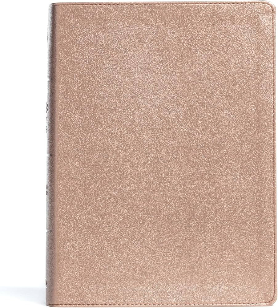 CSB Study Bible, Rose Gold LeatherTouch, Red Letter Edition with Study Notes, Commentary, Illustr... | Amazon (US)