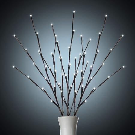 Mo&Ka 2 Pack Branch Lights - Led Branches Battery Powered Decorative Lights Tall Vase Filler Willow Twig Lighted Branch for Home Decoration Warm White - 29 Inches 20 LED Lights (Branches Light) | Amazon (US)