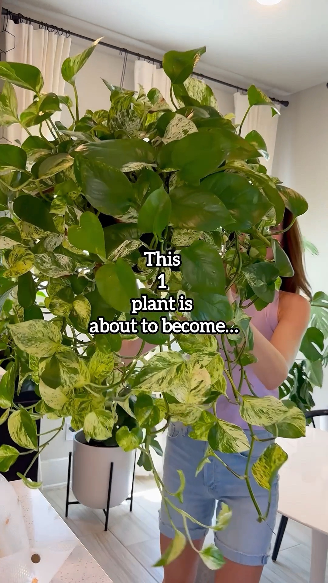 When your plant outgrows its pot, don’t just repot it… split it! This easy trick instantly multiplies your collection and gives each section room to grow.

Now instead of one crowded plant, I’ve got three lush beauties plus a bunch of pothos propagations from this same plant. 🌱💚 

#houseplants #houseplantclub #plantlover #plantcare #planttips #propagation #pothos #houseplants #indoorplants #greenthumb

split one plant into three | dividing houseplants | how to multiply plants | indoor plant hack | plant propagation | pothos propagation | houseplant care tips | grow your jungle | budget plant hack | indoor gardening tricks

#LTKMothersDay #LTKHome #LTKOver40