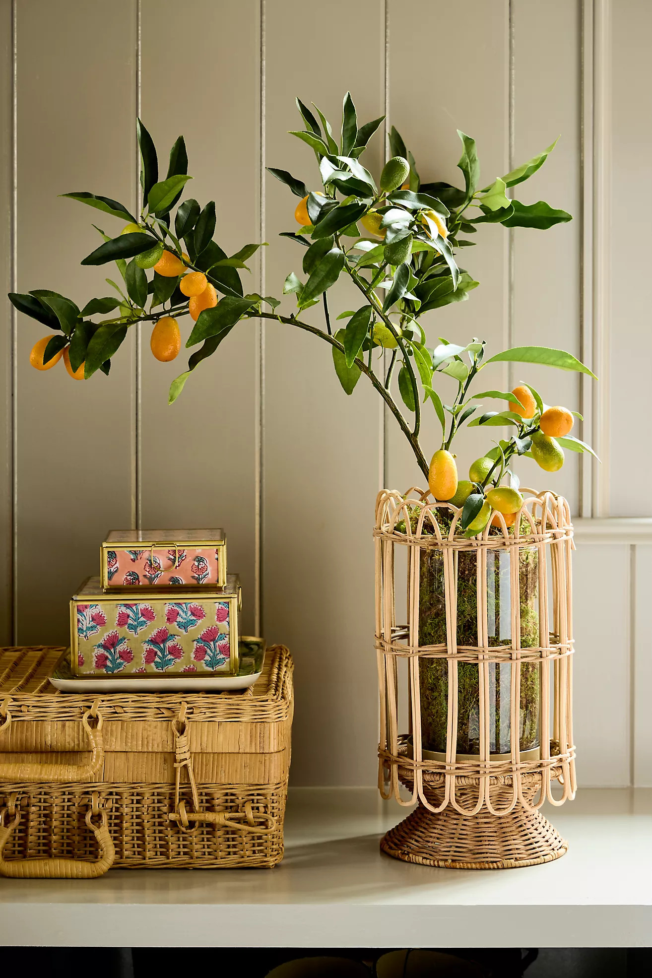 Rattan Caged Vase | Anthropologie (US)