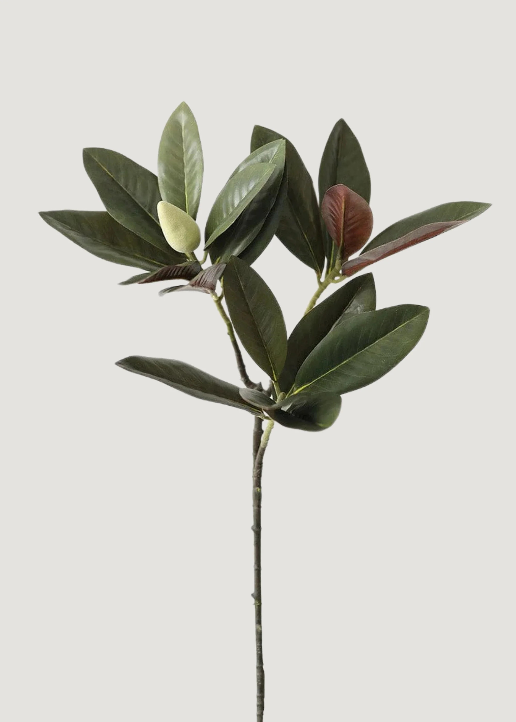 Magnolia Leaf Branch | Fake Plants for the Home at Afloral.com | Afloral
