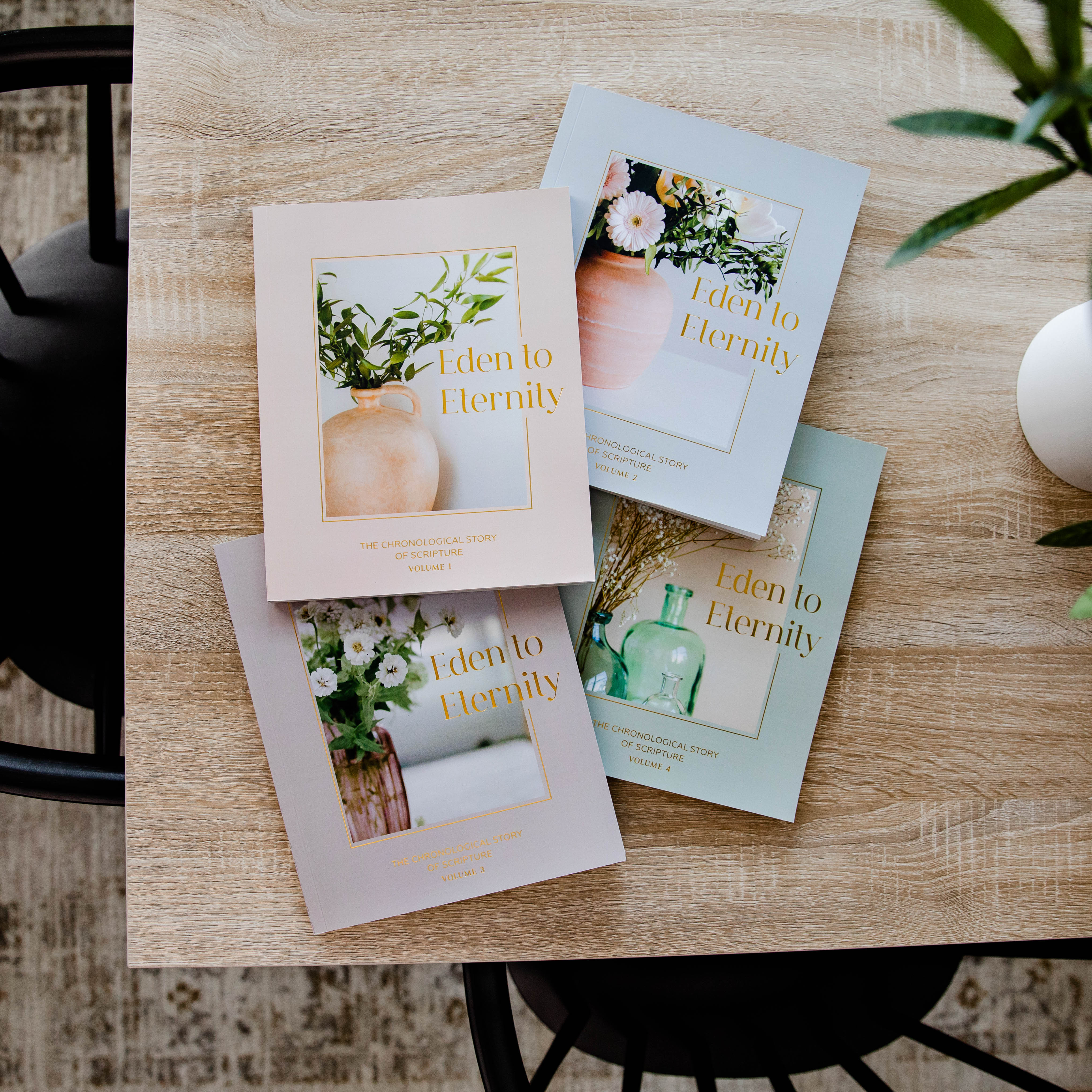 Eden to Eternity | Chronological Bible Study Bundle | The Daily Grace Co.