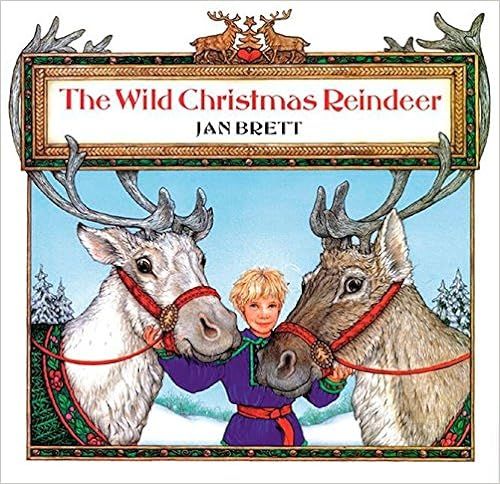 The Wild Christmas Reindeer | Amazon (US)