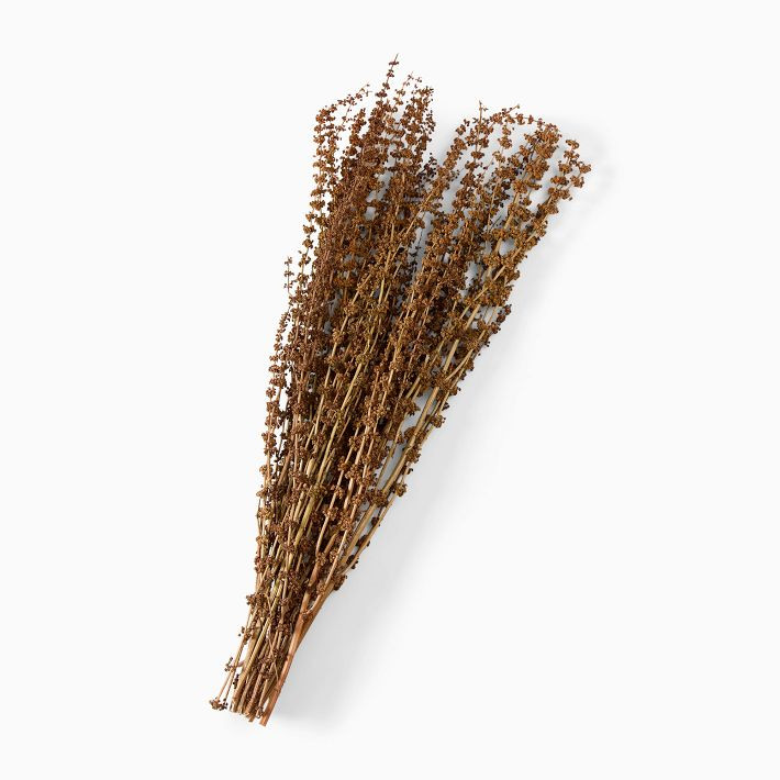 Dried Natural Basil Stems | West Elm (US)