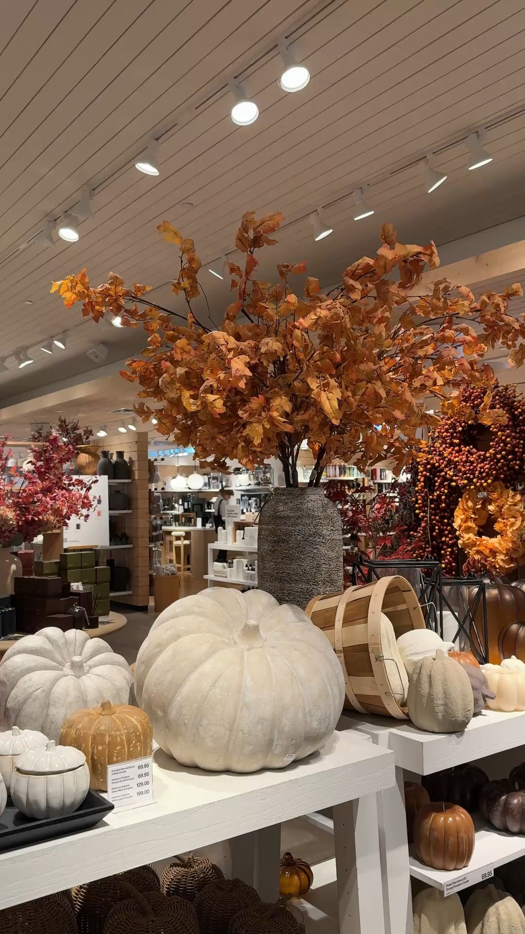 Fall leaves, vase, pumpkin

#LTKHome #LTKmomlife #LTKdayinmylife