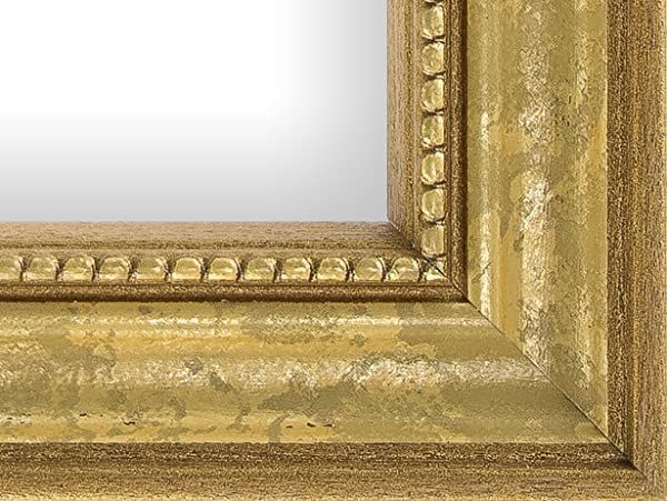Craig Frames 314GD, Ornate Gold Picture Frame, 12 x 12 Inch | Amazon (US)