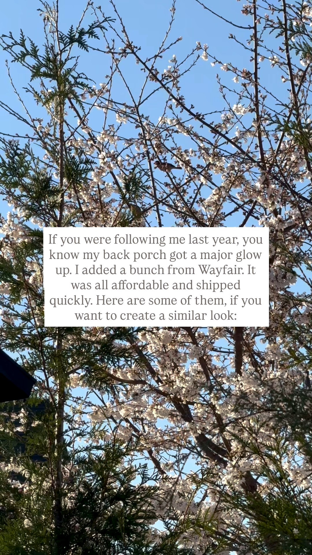 Get spring ready with @wayfair
Sheds, plant hooks, chairs, coffee tables, outdoor rugs, outdoor pillows, and more
Fast shipping and affordable prices ❤️
#wayfair
#wayfairpartner
#ad
#newyearnewyou
