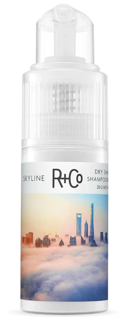 SKYLINE Dry Shampoo Powder | R+Co