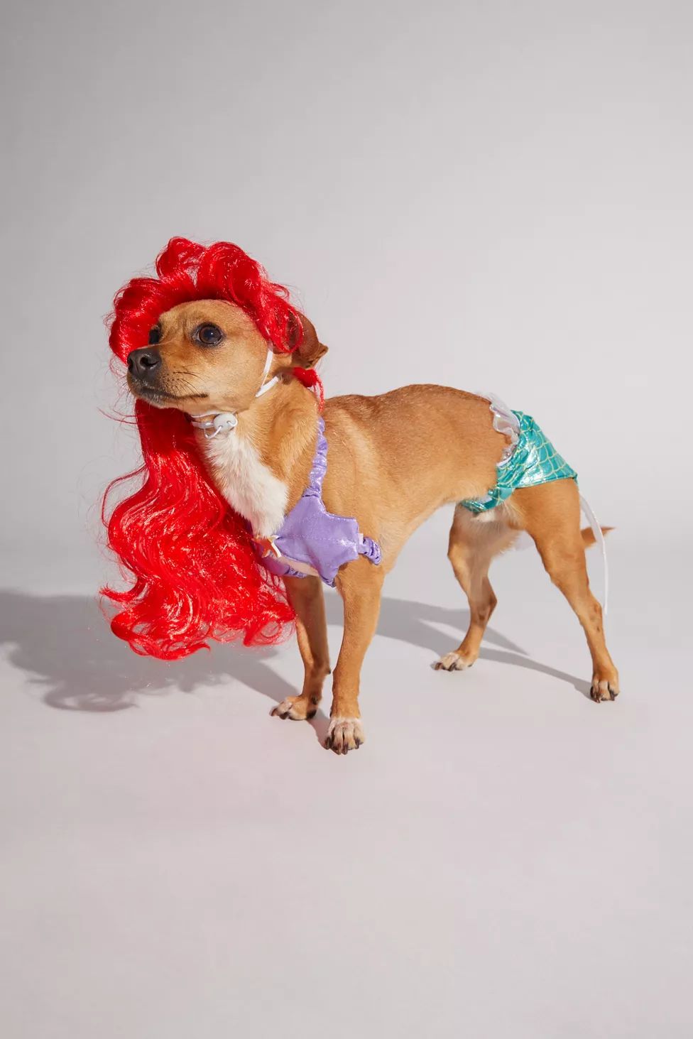 Little Mermaid Pet Halloween Costume | Urban Outfitters (US and RoW)